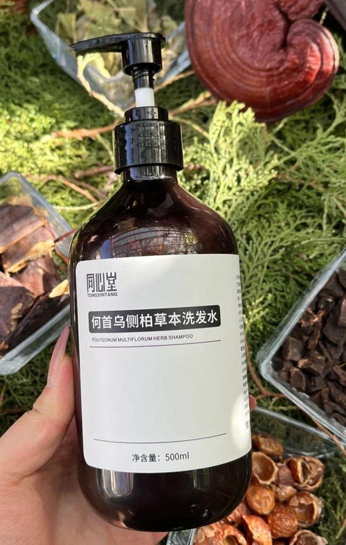 告別脫發困擾！2024平價防脫育發產品盤點，這四款值得一試